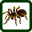 Spider Solitaire
